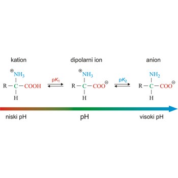 Aminokiselina kao dipolarni ion