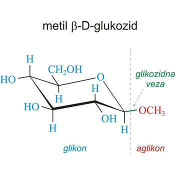Glikozidna veza
