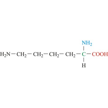 Lizin - esencijalna aminokiselina