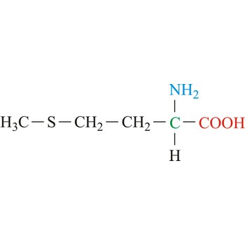 Methionine - essential amino acid