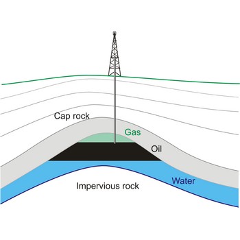 Petroleum reservoir