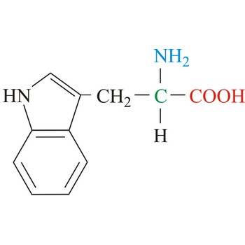 Tryptophan - essential amino acid