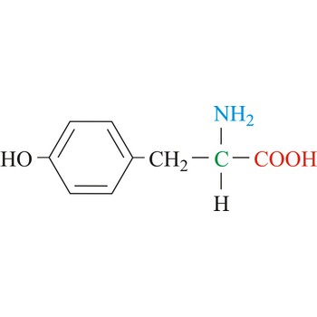 Tyrosine - nonessential amino acid
