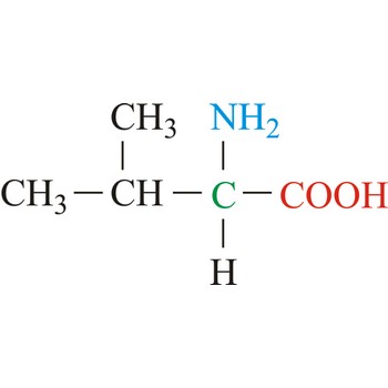 Valin - esencijalna aminokiselina