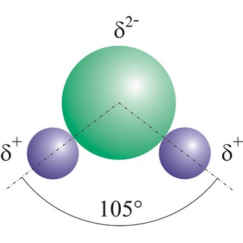 Polar water molecule