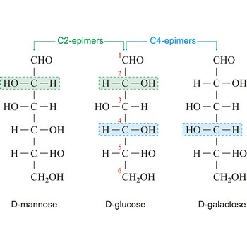 Epimers of glucose