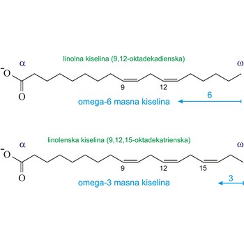 Oleinska kiselina formula