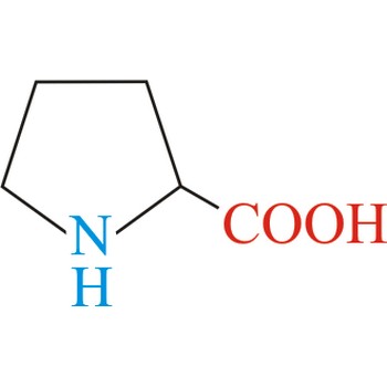 Proline - nonessential amino acid